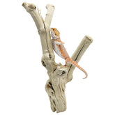 Apatal reptile branch natural wood extra-large for climbing enrichment in terrariums.