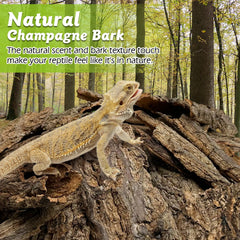 Apatal Reptile Cork Bark bulk 1.5 lb—terrarium setup image showing versatile substrate and natural look.
