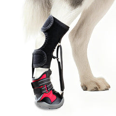 Apedret toe grips senior dog paw-support during walking for steadier steps.
