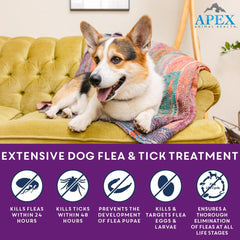 APEX PLUS tick prevention for large dogs showing 30-day protection