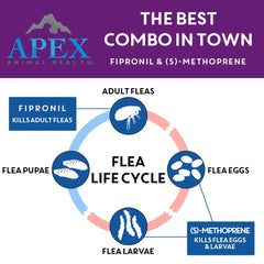 APEX PLUS waterproof after 24 hours demonstrating protection during outdoor activities