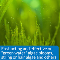 API ALGAEFIX: acción rápida contra algas verdes y hebras en el acuario