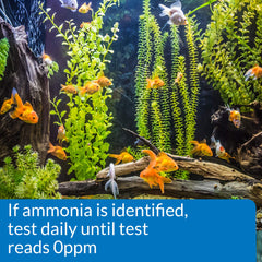 API Ammonia strip results colors matched to chart