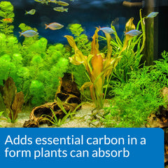 API CO2 Booster, plantas verdes y vibrantes en acuario