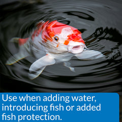 API POND STRESS COAT Aloe Vera label highlights healing support for fish skin and fins.