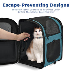 Apollo Walker teal interior view with padded walls for pet comfort during travel