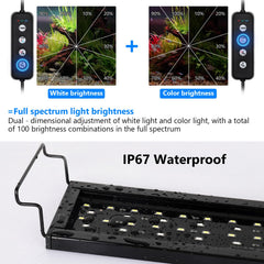 AQQA full spectrum light over freshwater tank enhancing plant growth and viewing.