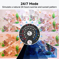 AQQA LED Aquarium Light 24/7 sunrise-sunset cycle demonstrates natural day-night transition.
