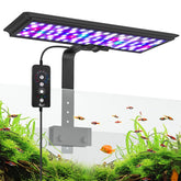 AQQA LED Aquarium Light front view provides bright, even illumination for vivid fish colors.