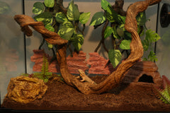 AQUA KT flexible bendable reptile vine adapts to tank layouts