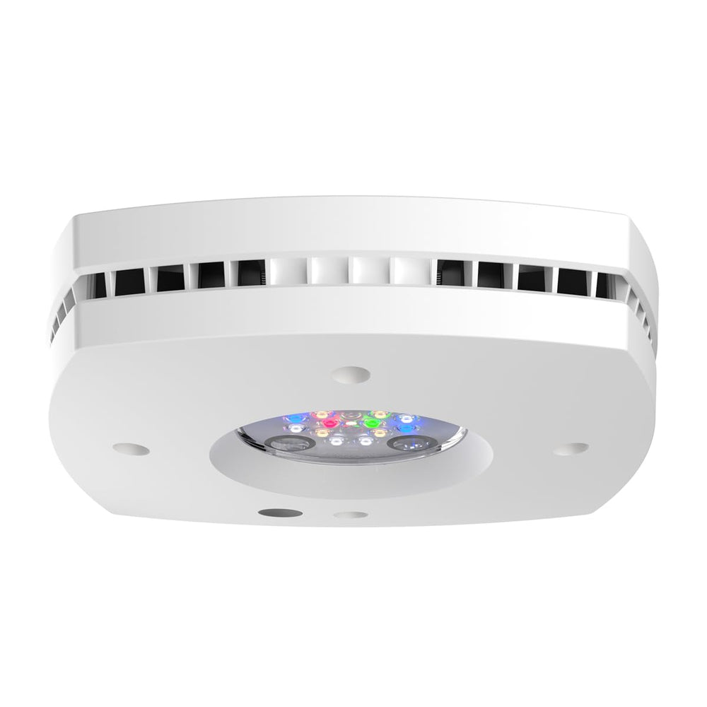 AquaIllumination Prime 16 HD light panel delivers vibrant color in reef tanks.