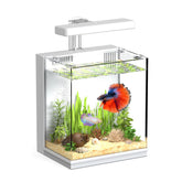 AQUASMITH 2-gallon all-in-one fishtank shown in a compact desk setup for quiet viewing.