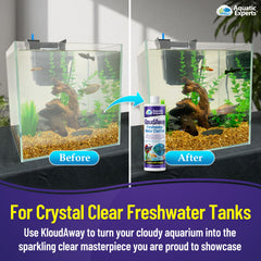 KloudAway creates cloudy-to-clear water, illustrating fast-acting clarity.
