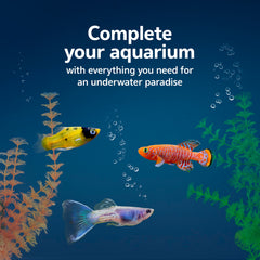 Aqueon thermometer showing easy water condition checks