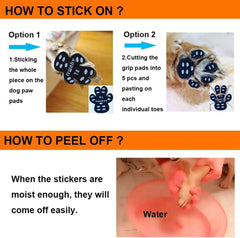 Wide shot of Aqumax adhesive pads cut to fit a dog's paw for a tailored grip.