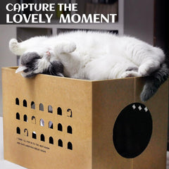 ARGOPET cat cardboard scratch pads close-up highlights durable double-walled corrugated board.