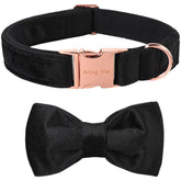 ARING PET Bowtie Collar front view shows velvet texture and bowtie styling for daily wear.