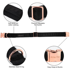 ARING PET Bowtie Collar side view with adjustable strap and D-ring detail for secure handling.