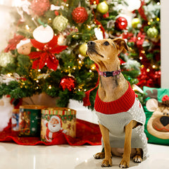 Aring Pet quick release buckle collar for easy on off during festive outings.