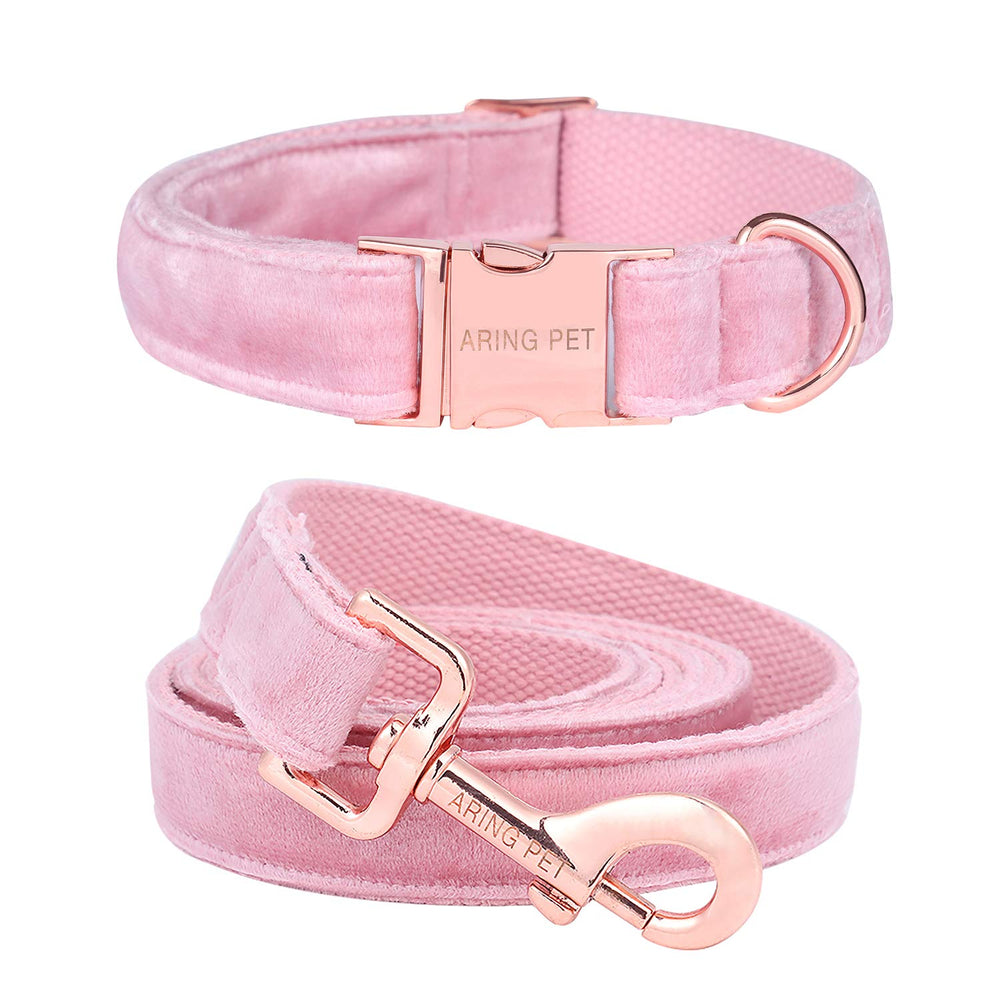 Aring Pet velvet collar and leash set on a dog—stylish daily wear