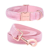 ARING PET dog collar velvet-soft close-up highlights plush comfort