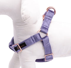Aring Pet velvet harness with rose-gold buckle showcases durable hardware for long-lasting use.