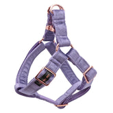 Aring Pet velvet dog harness closeup shows soft material for comfortable daily walks.