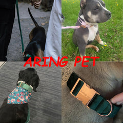 Aring Pet dog leash featuring rose-gold hardware—durable everyday walking