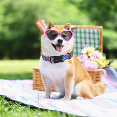 Aring Pet Floral Dog Collar buckle-closeup shows quick-release convenience.