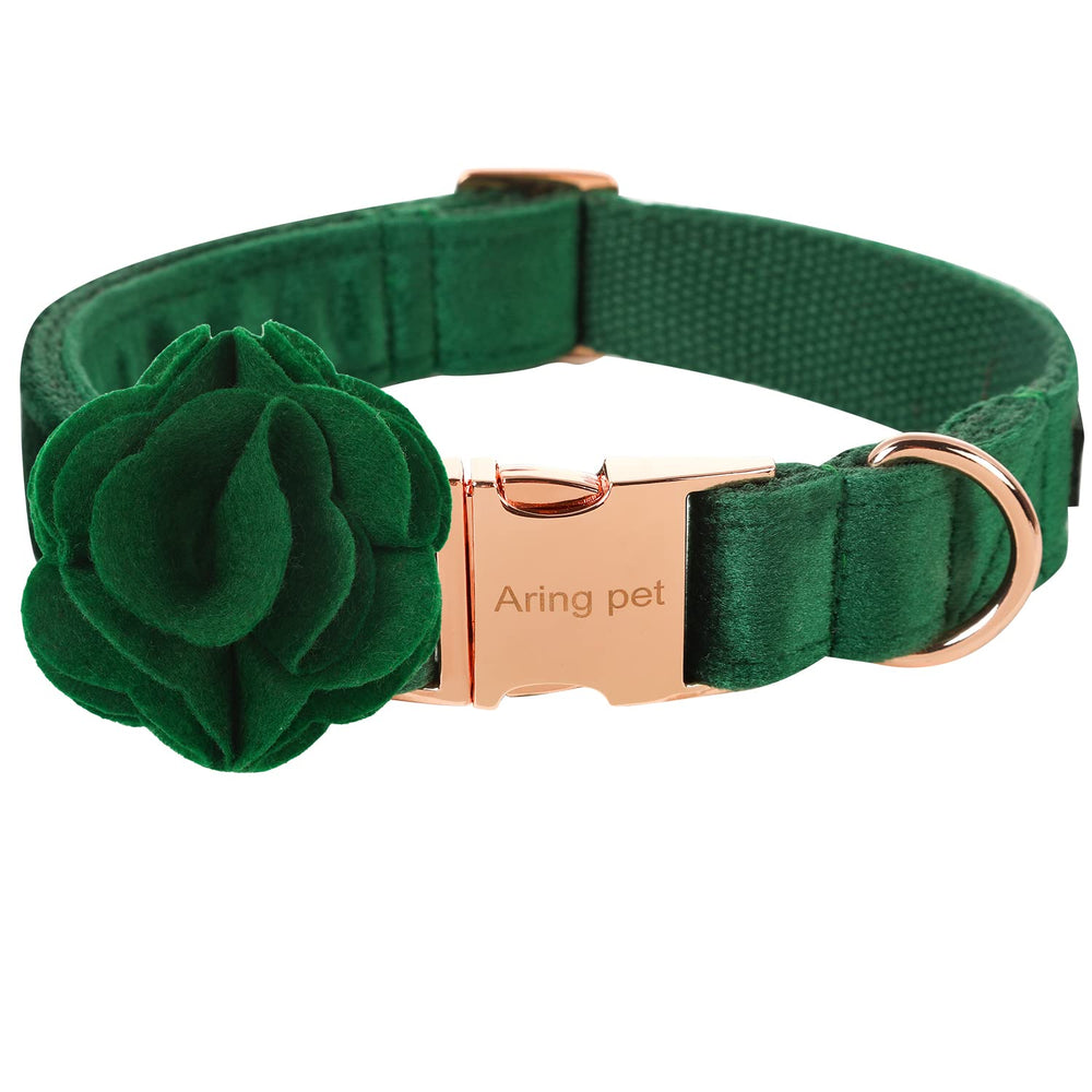 Aring Pet velvet dog collar in dark green for daily stylish wear