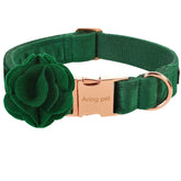 Aring Pet velvet dog collar in dark green for daily stylish wear