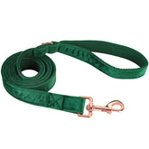 ARING PET velvet dog leash in dark green close-up showing reinforced stitching for durability.