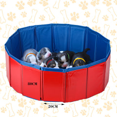 Arrowbash puppy feeding tubes with varied capacities support precise feeding for each pup.