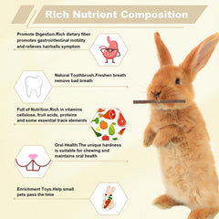 ARTKIDA apple sticks natural wood for small pets daily chewing