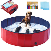 Artilife dog whelping box pool setup provides a safe birthing space