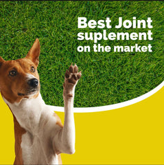 Artri-tabs large-dog-running scene suggesting potential mobility benefits.