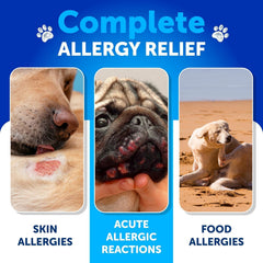 Artullano dog allergy chews ingredient panel emphasizing fish oil and omega-3 benefits.