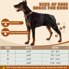 Arvion neoprene knee brace on leg highlighting warmth and joint comfort