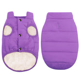 ASENKU dog winter coat purple front view highlights waterproof protection for snowy walks