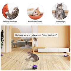 AsFrost DIY-trajectory clips let cats chase along varied paths