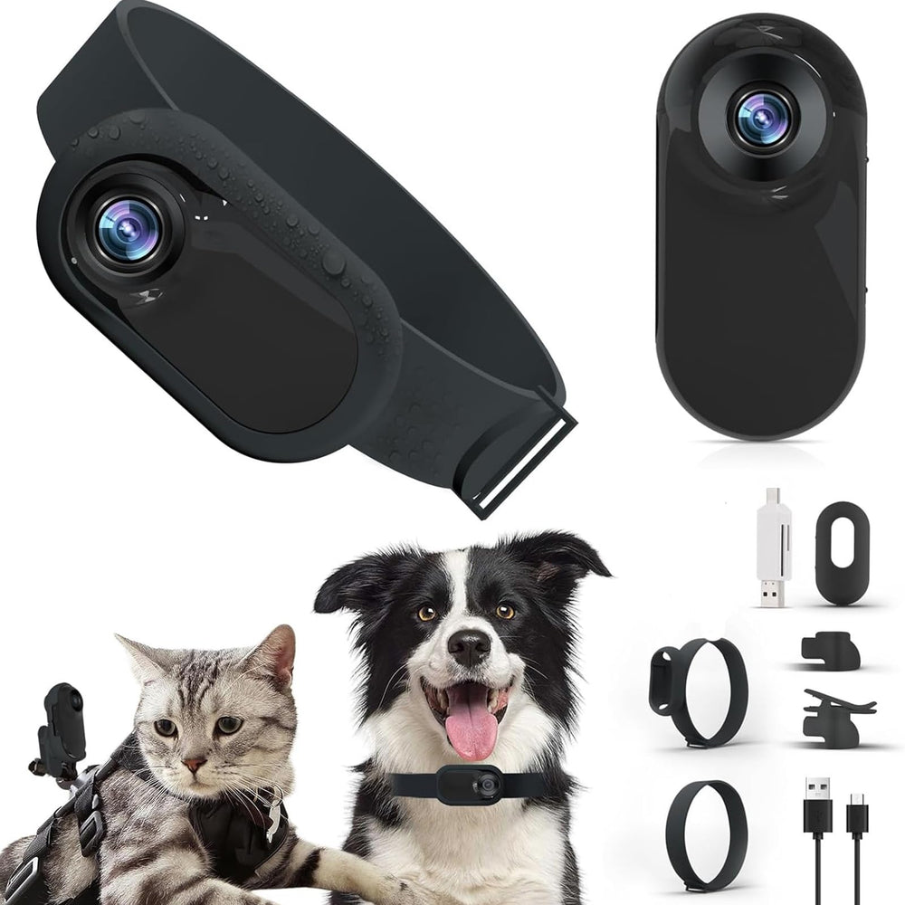 ASHATA cat collar camera on a dog for wearable footage capture