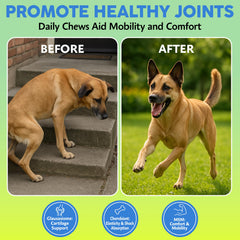 Asher House Wellness natural-flavor dog chews; appealing daily supplement for picky eaters.