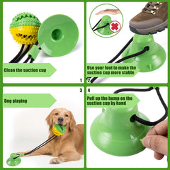 Askhald interactive-bell-ball attracts attention for fetch and play
