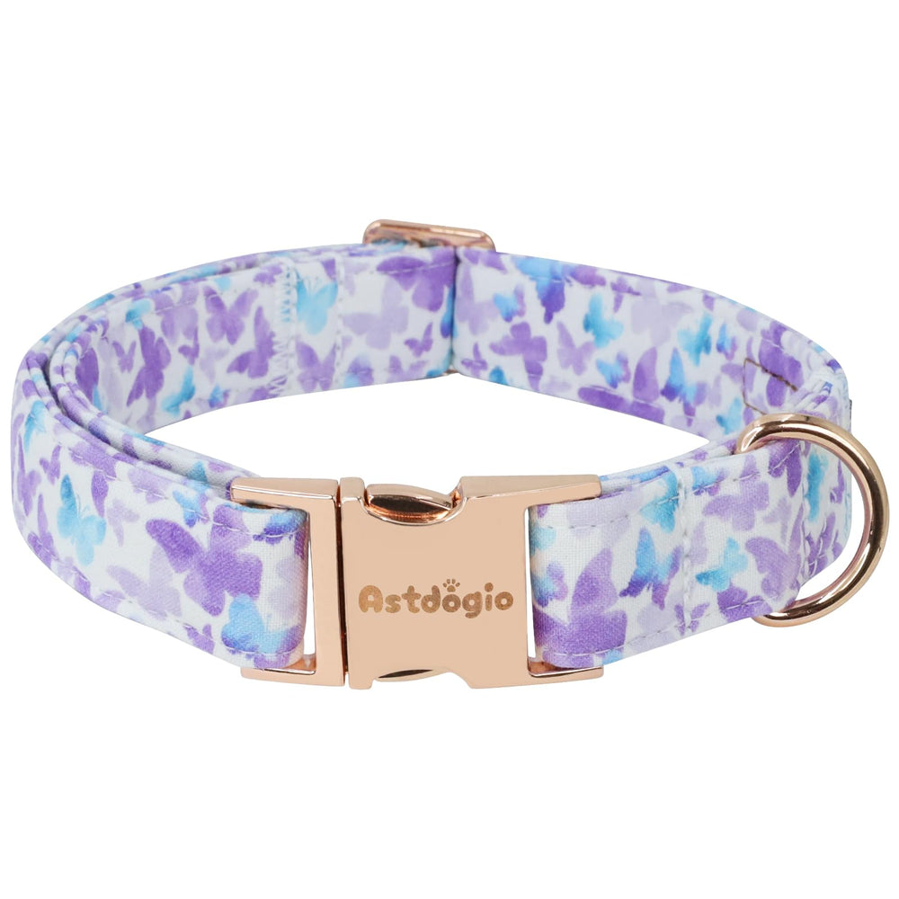 Astdogio Elegant Butterfly collar front view for stylish daily walks
