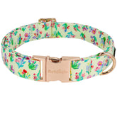 Astdogio floral dog collar on a sunny yellow background adds bright daily-walk style.