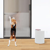 Astfys pet nail self-adhesive emery paper on a scratch pad for DIY nail care.