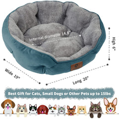 Asvin small dog bed teal non-slip bottom keeps bed in place during playful afternoons.