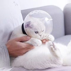 Augegel cat muzzle breathable face mask with air holes for easy breathing.