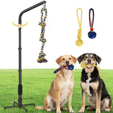 AugFir Tether spring pole rotation enabling dog self-play and exercise