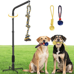 AugFir Tether spring pole rotation enabling dog self-play and exercise